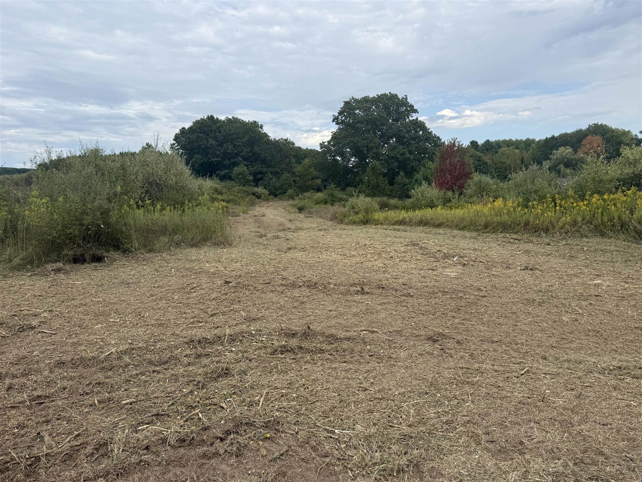 Homes for sale in Remus, MI | 13384 Swistier Dr, Remus, MI 49340 | MLS# 70463654