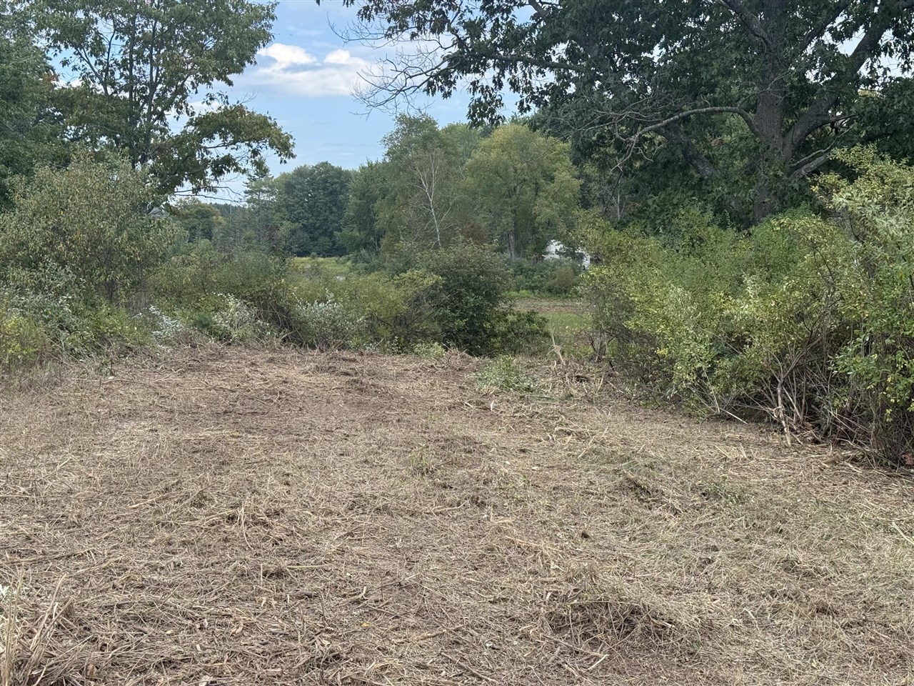 Homes for sale in Remus, MI | 13384 Swistier Dr, Remus, MI 49340 | MLS# 70463654