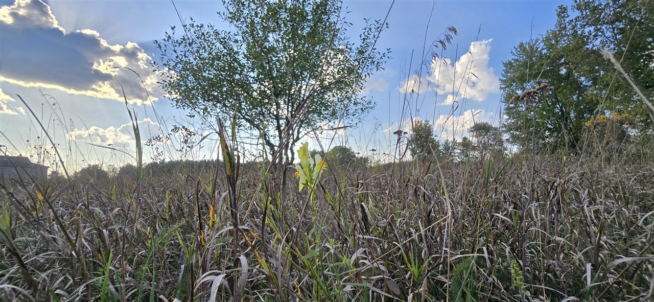 Homes for sale in Mount Pleasant, MI | 8692 E Baseline Rd, Mount Pleasant, MI 48858 | MLS# 70463848