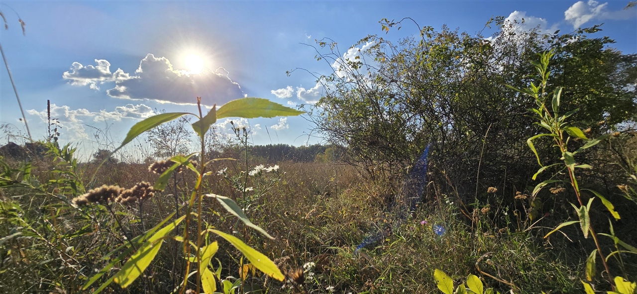 Homes for sale in Mount Pleasant, MI | 8692 E Baseline Rd, Mount Pleasant, MI 48858 | MLS# 70463848