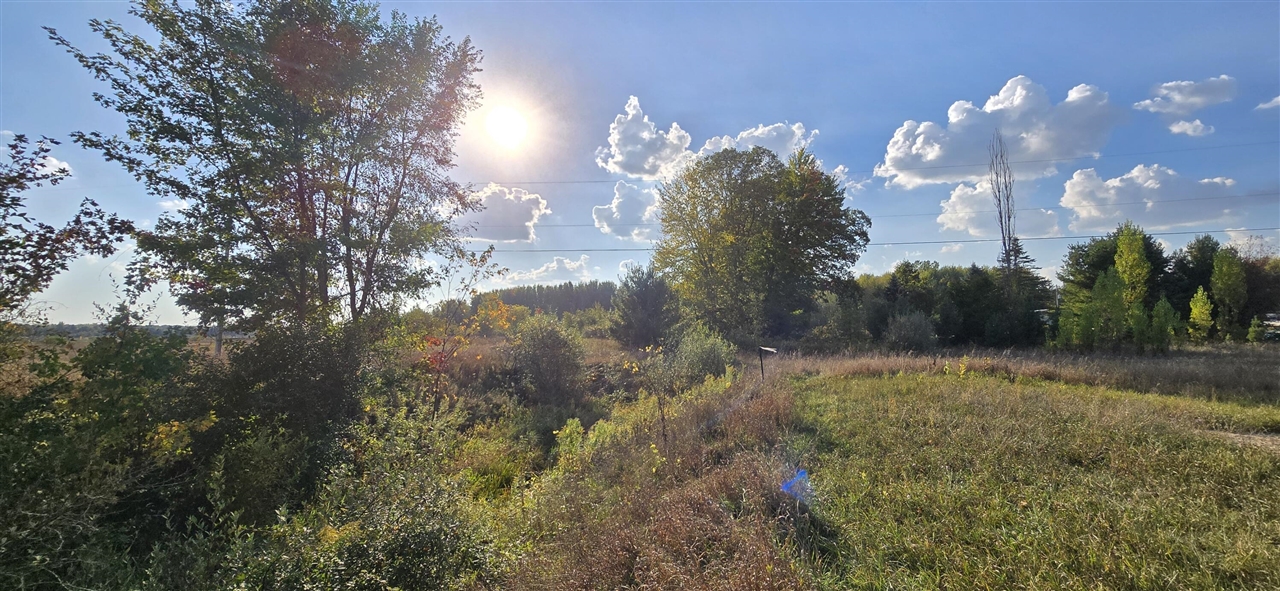 Homes for sale in Mount Pleasant, MI | 8692 E Baseline Rd, Mount Pleasant, MI 48858 | MLS# 70463848