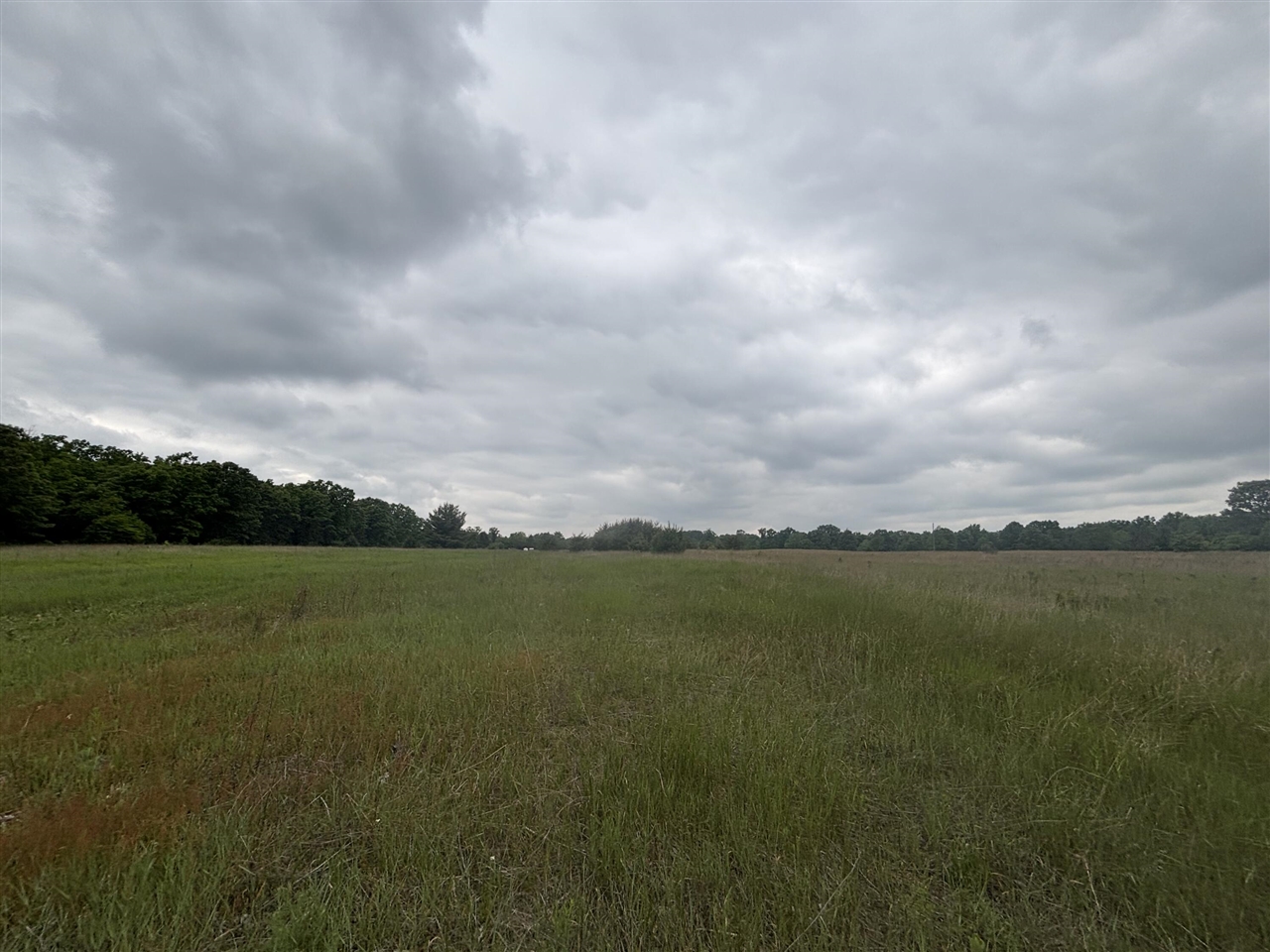 Homes for sale in White Cloud, MI | V/L 10A N Woodbridge Rd, White Cloud, MI 49349 | MLS# 70464124