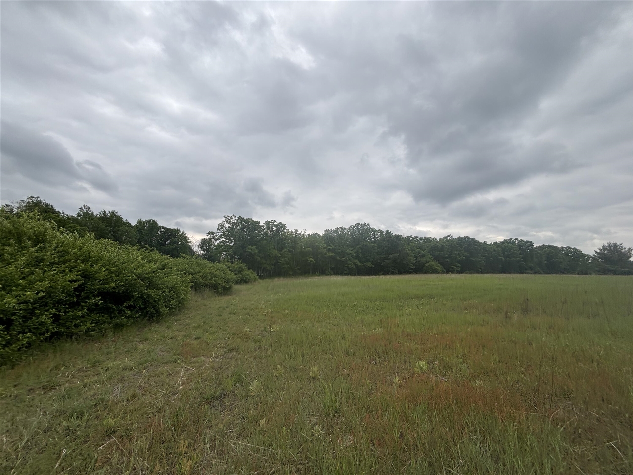 Homes for sale in White Cloud, MI | V/L 10A N Woodbridge Rd, White Cloud, MI 49349 | MLS# 70464124