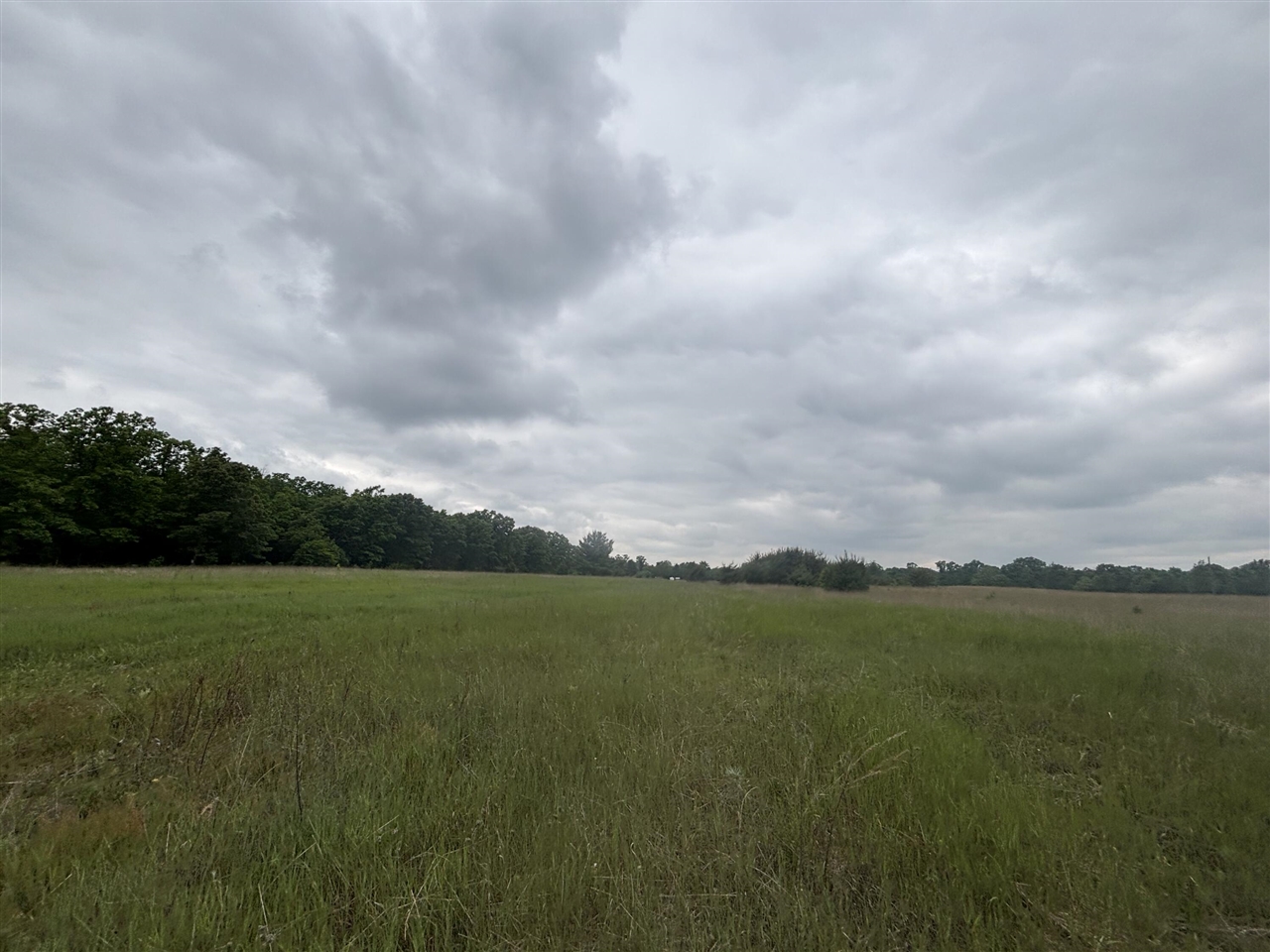 Homes for sale in White Cloud, MI | V/L 10A N Woodbridge Rd, White Cloud, MI 49349 | MLS# 70464124