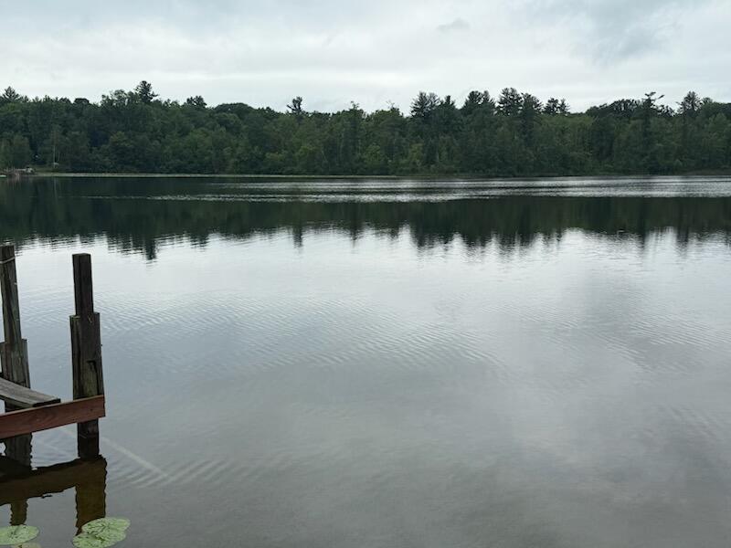 Homes for sale in Six Lakes, MI | 4605 Hunters Trl, Six Lakes, MI 48886 | MLS# 70464235