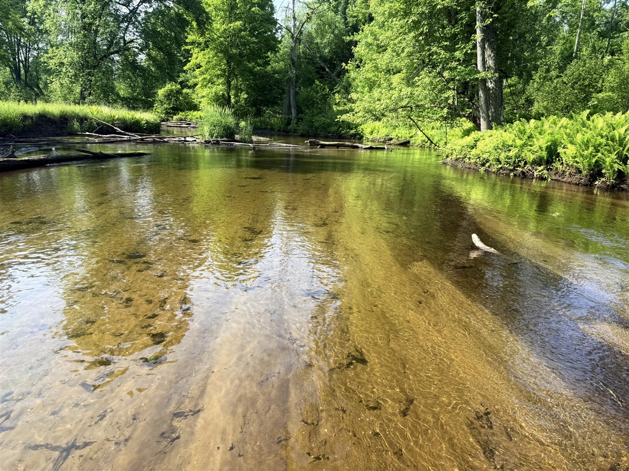 Homes for sale in Marion, MI | 17639 N 20th Ave, Marion, MI 49665 | MLS# 70464816