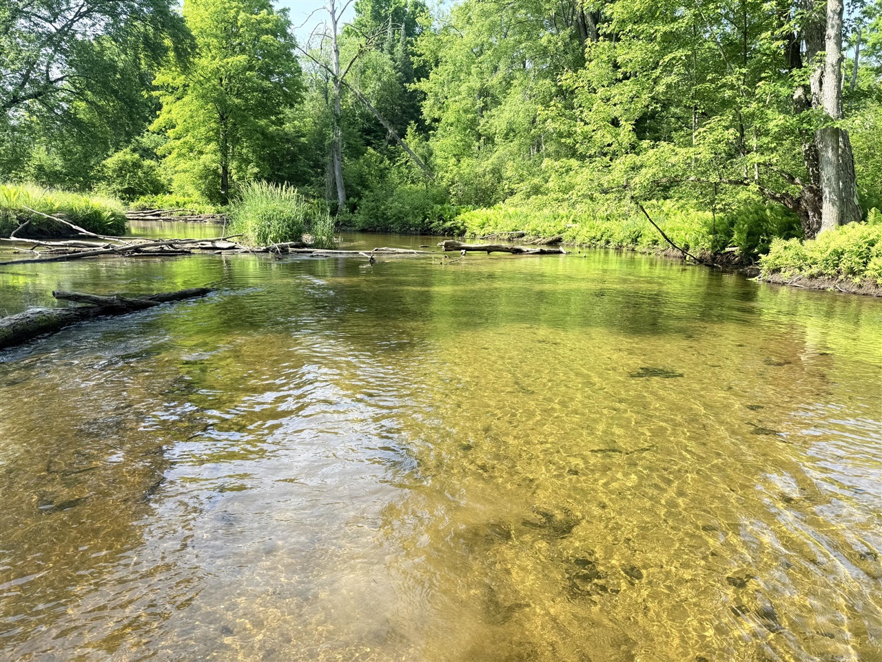 Homes for sale in Marion, MI | 17639 N 20th Ave, Marion, MI 49665 | MLS# 70464816