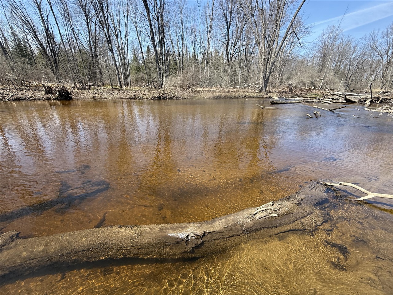 Homes for sale in Marion, MI | 17639 N 20th Ave, Marion, MI 49665 | MLS# 70464816
