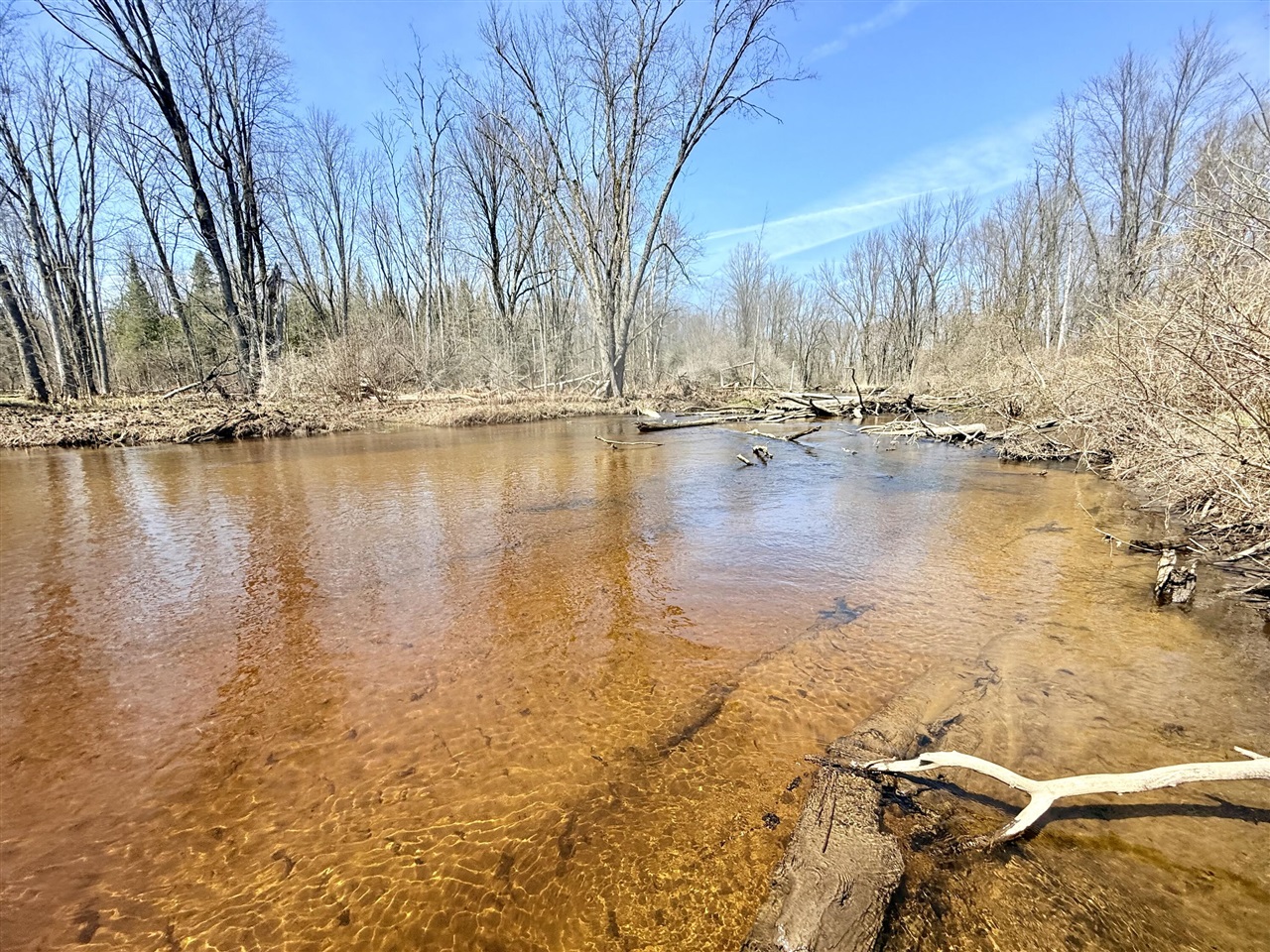 Homes for sale in Marion, MI | 17639 N 20Th Ave, Marion, MI 49665 | MLS# 70464816