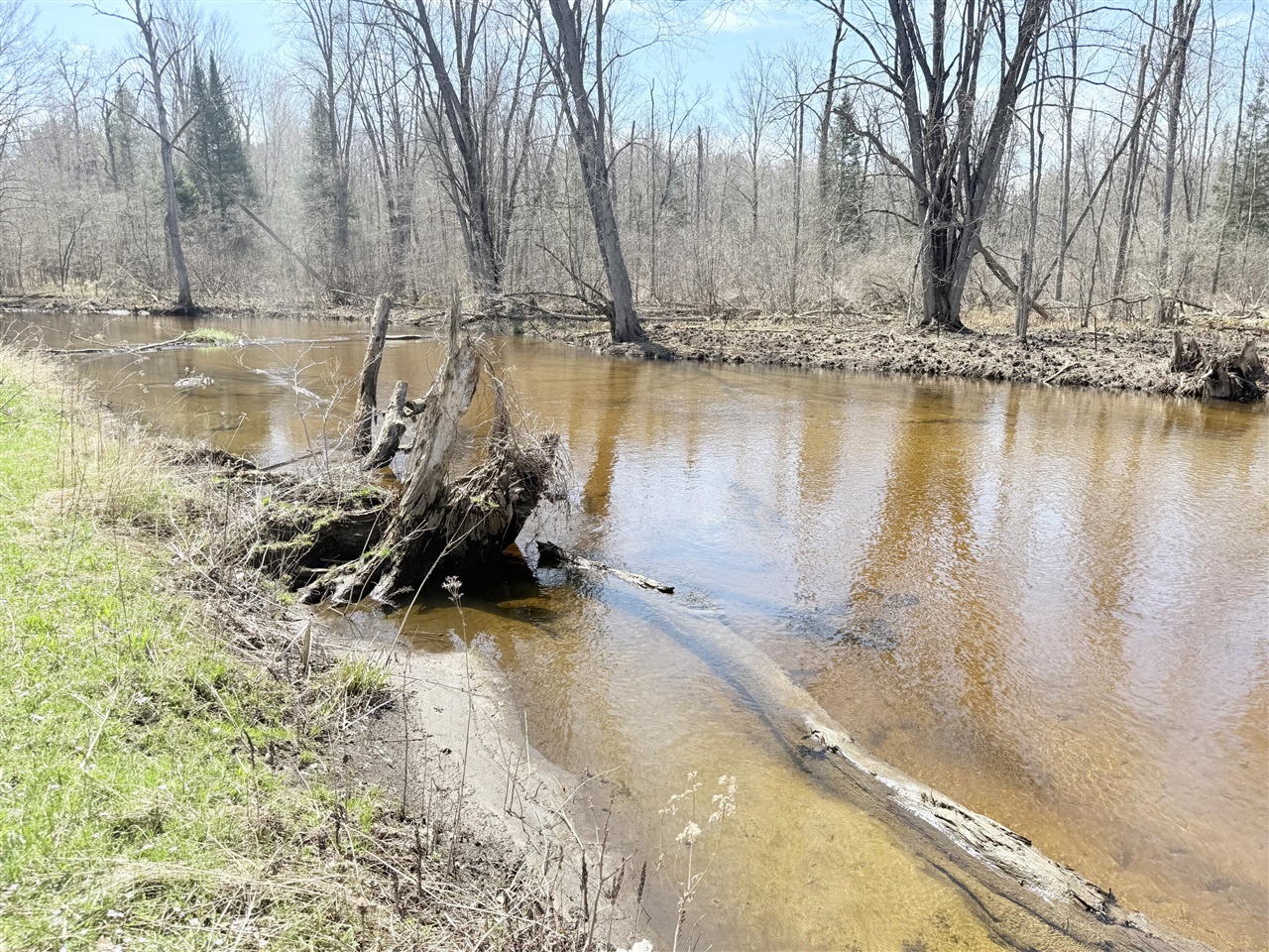 Homes for sale in Marion, MI | 17639 N 20Th Ave, Marion, MI 49665 | MLS# 70464816