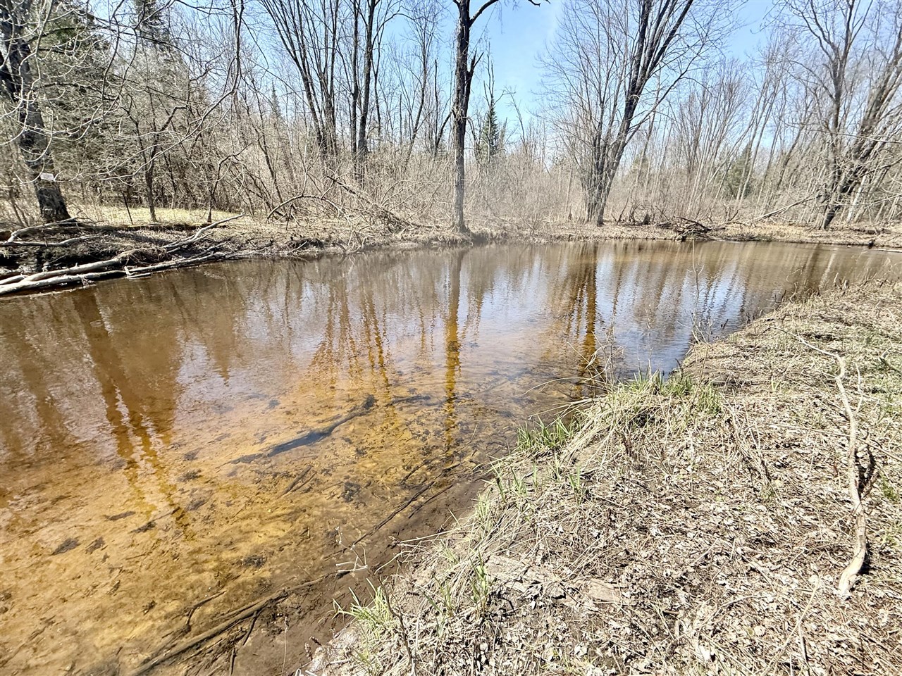 Homes for sale in Marion, MI | 17639 N 20Th Ave, Marion, MI 49665 | MLS# 70464816