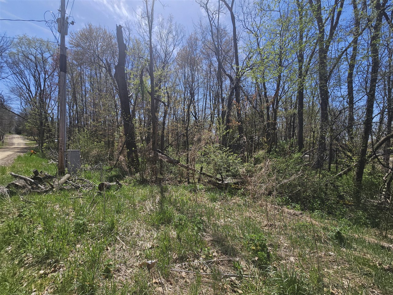 Homes for sale in Dowagiac, MI | Vl Lakeshore Dr, Dowagiac, MI 49047 | MLS# 70464826