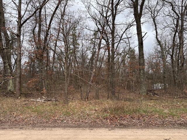 Homes for sale in Baldwin, MI | V/l W Lakewood Grove Dr, Baldwin, MI 49304 | MLS# 70466023