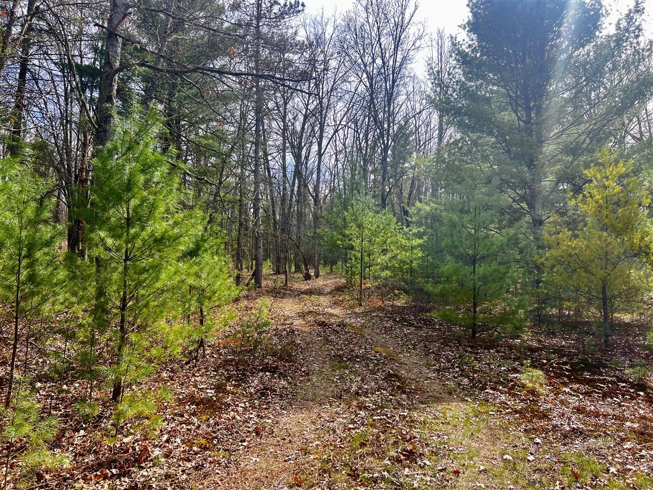 Homes for sale in Bitely, MI | 13460 Baldwin Dr, Bitely, MI 49309 | MLS# 70466319