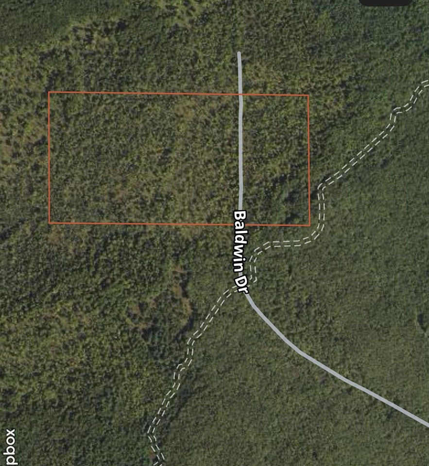 Homes for sale in Bitely, MI | 13460 Baldwin Dr, Bitely, MI 49309 | MLS# 70466319