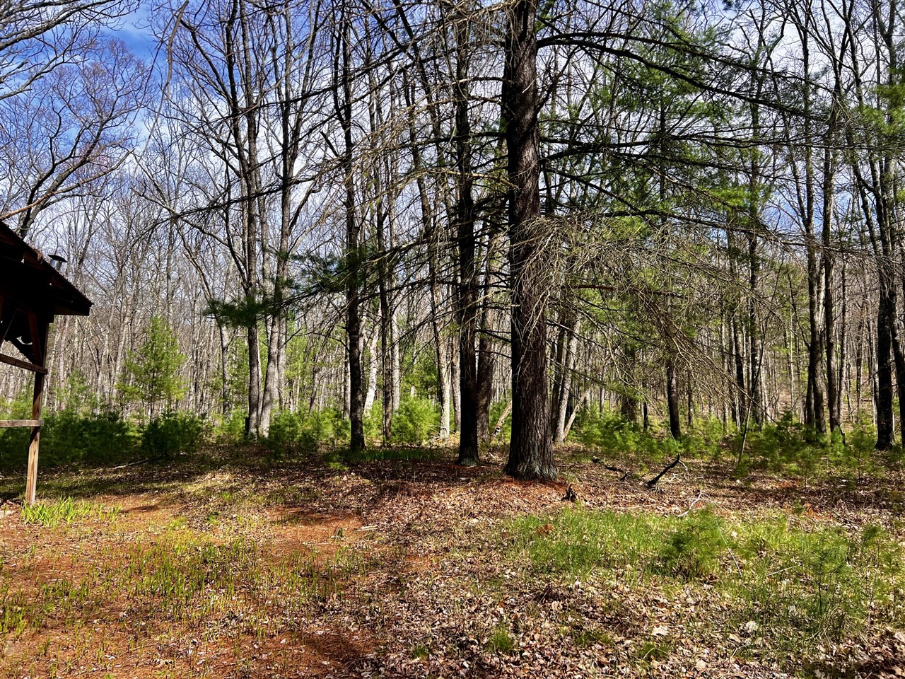 Homes for sale in Bitely, MI | 13460 Baldwin Dr, Bitely, MI 49309 | MLS# 70466319