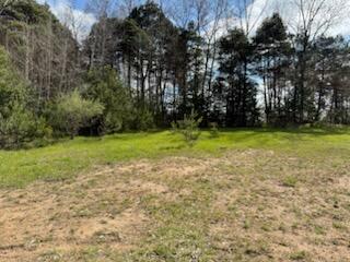 Homes for sale in Casnovia, MI | 14605 Apple Ave, Casnovia, MI 49318 | MLS# 70466325