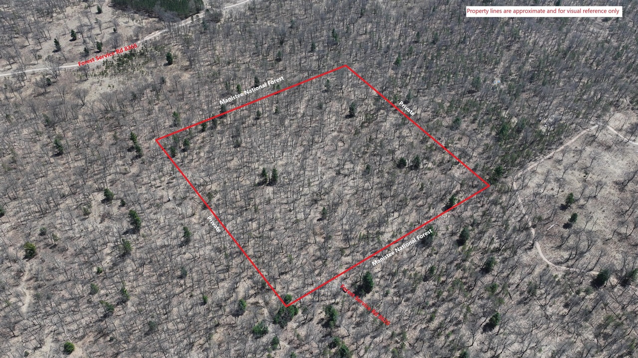 Homes for sale in Free Soil, MI | V/l Free Soil, Free Soil, MI 49411 | MLS# 70466382