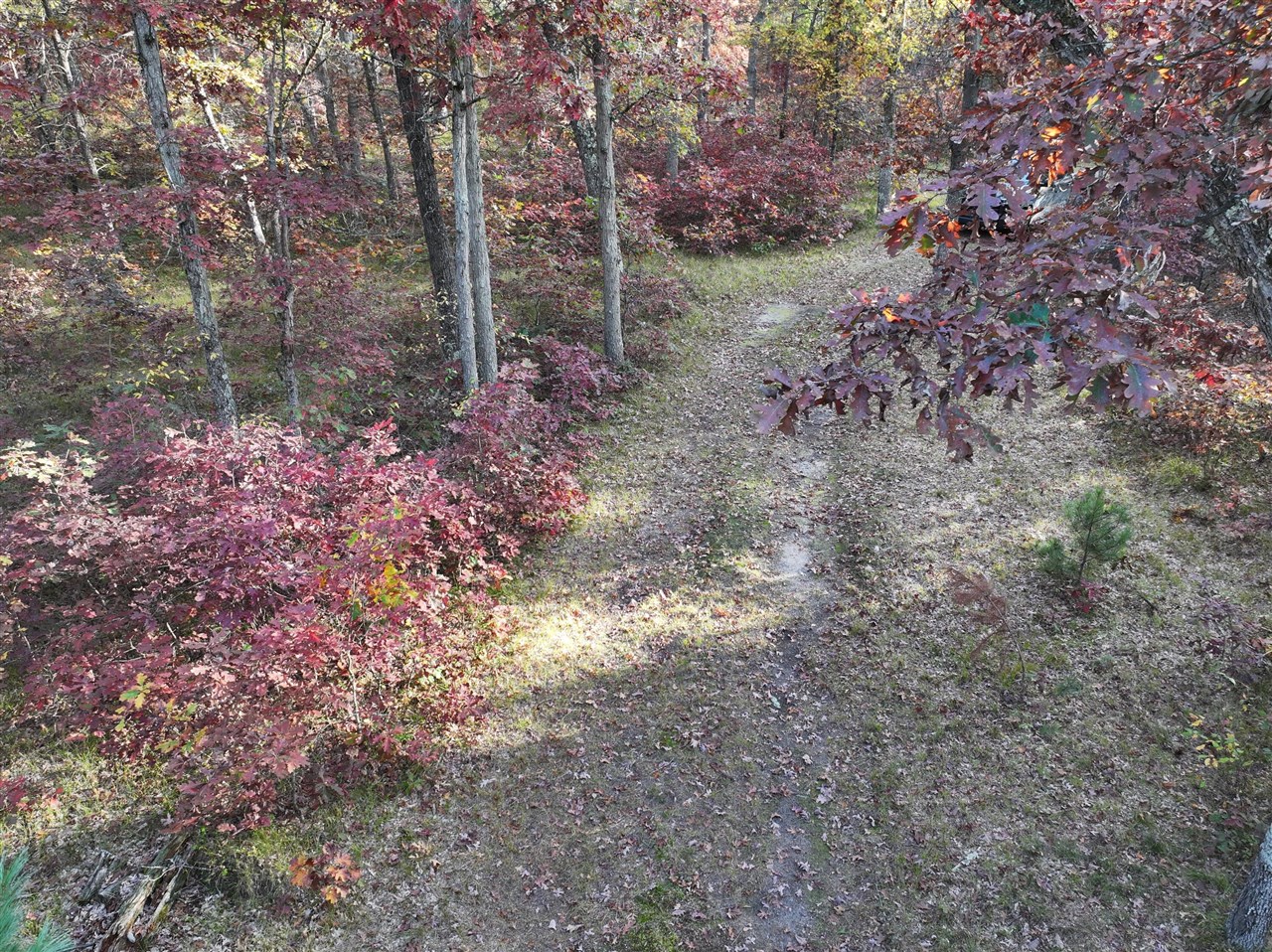 Homes for sale in Free Soil, MI | V/l Free Soil, Free Soil, MI 49411 | MLS# 70466382