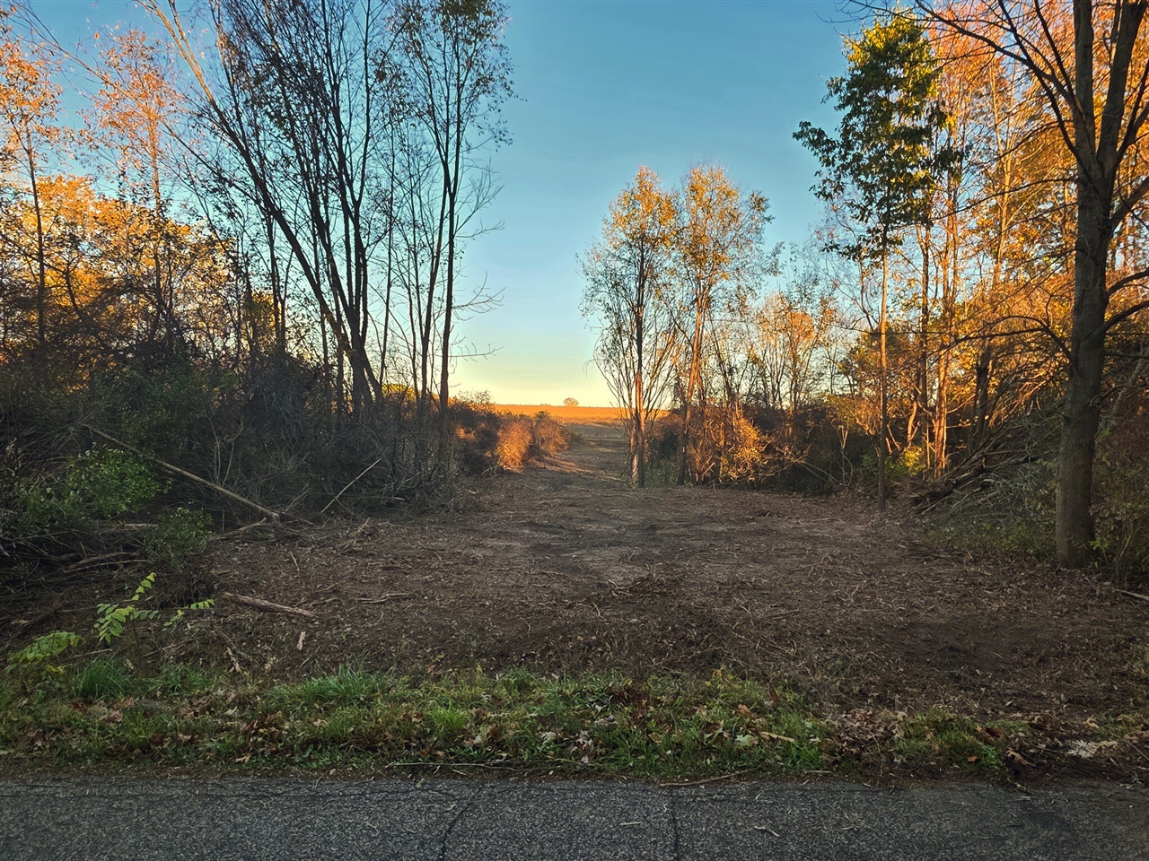 Homes for sale in Rives Junction, MI | Vl B Dutch, Rives Junction, MI 49277 | MLS# 70466404