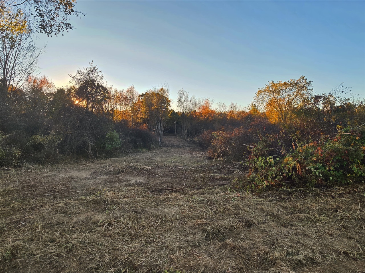 Homes for sale in Rives Junction, MI | Vl B Dutch, Rives Junction, MI 49277 | MLS# 70466404