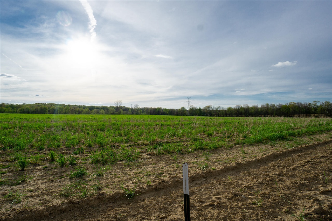 Homes for sale in Rives Junction, MI | Vl B Dutch, Rives Junction, MI 49277 | MLS# 70466404