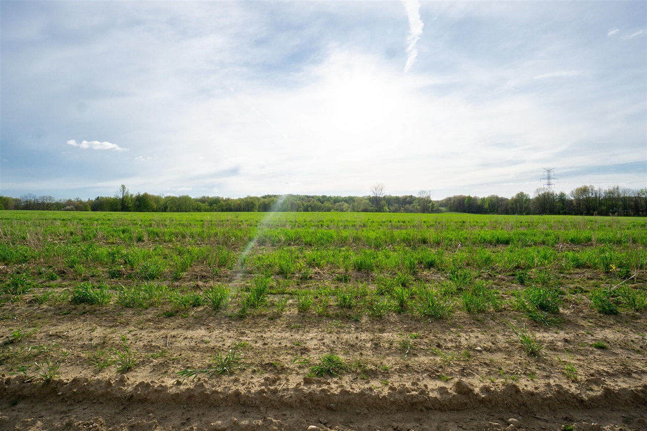 Homes for sale in Rives Junction, MI | Vl B Dutch, Rives Junction, MI 49277 | MLS# 70466404