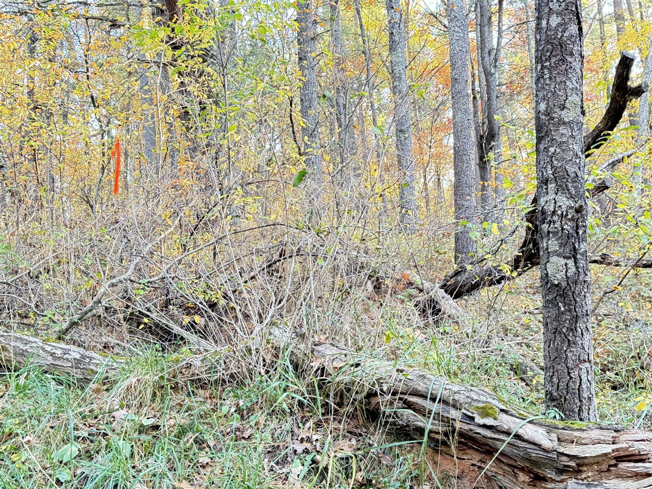 Homes for sale in Newaygo, MI | 732ac E 58th St, Newaygo, MI 49337 | MLS# 70466437