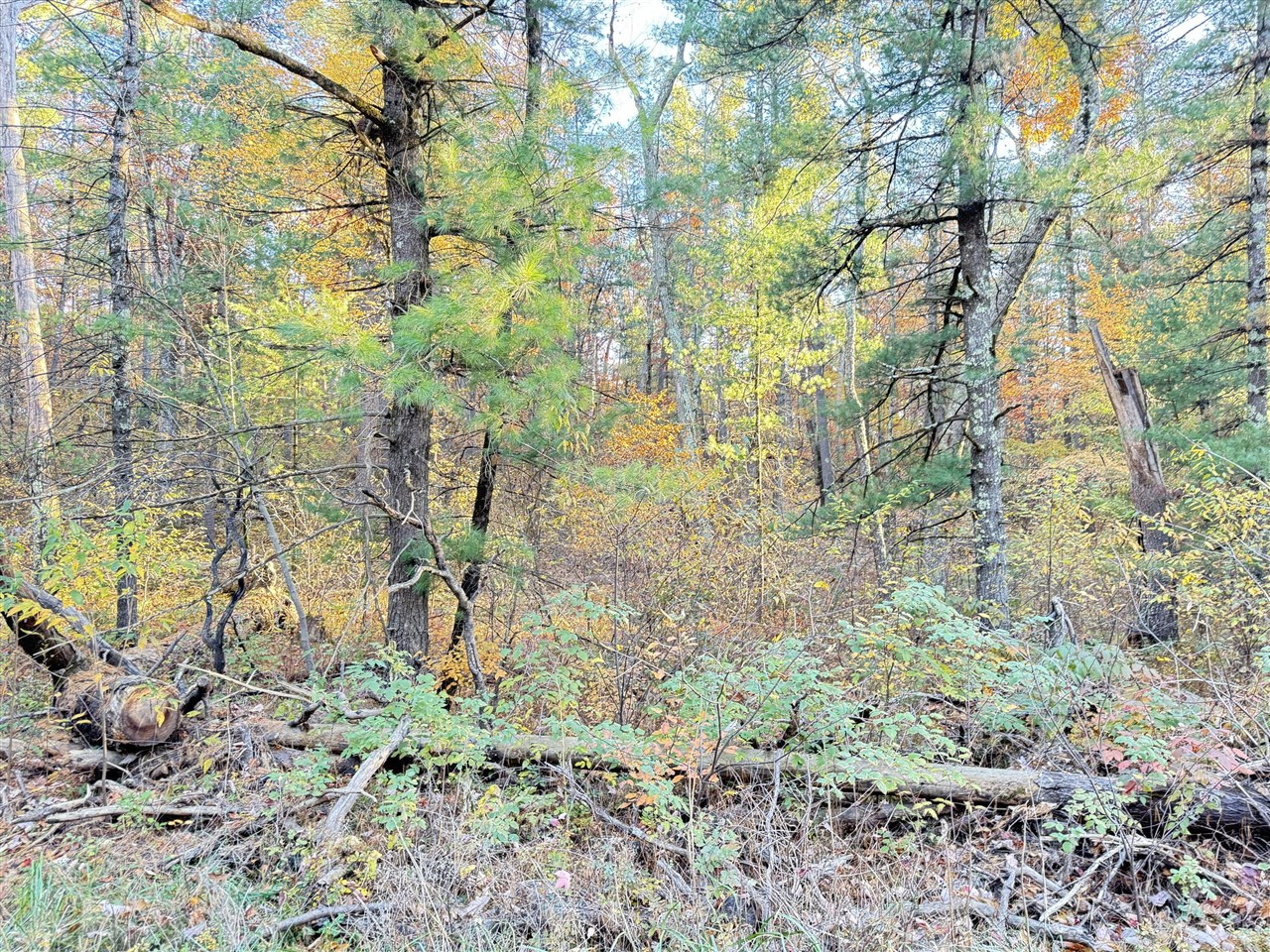 Homes for sale in Newaygo, MI | 732Ac E 58Th St, Newaygo, MI 49337 | MLS# 70466437