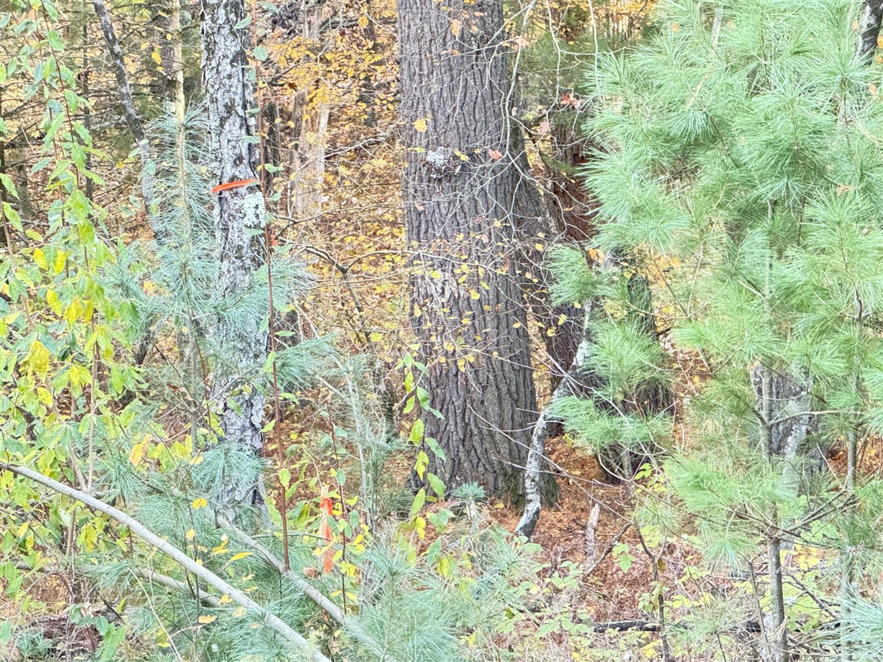 Homes for sale in Newaygo, MI | 732Ac E 58Th St, Newaygo, MI 49337 | MLS# 70466437