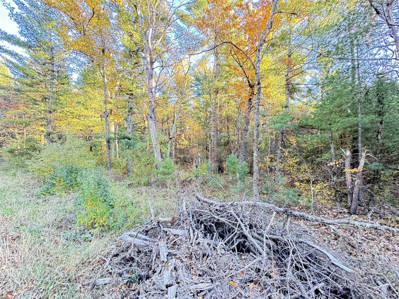 Homes for sale in Newaygo, MI | 732Ac E 58Th St, Newaygo, MI 49337 | MLS# 70466437