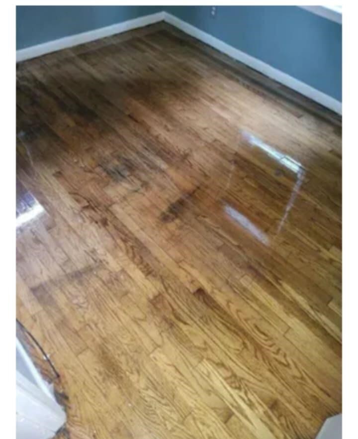 Homes for sale in Detroit, MI | 20151 Carrie St, Detroit, MI 48234 | MLS# 70466515