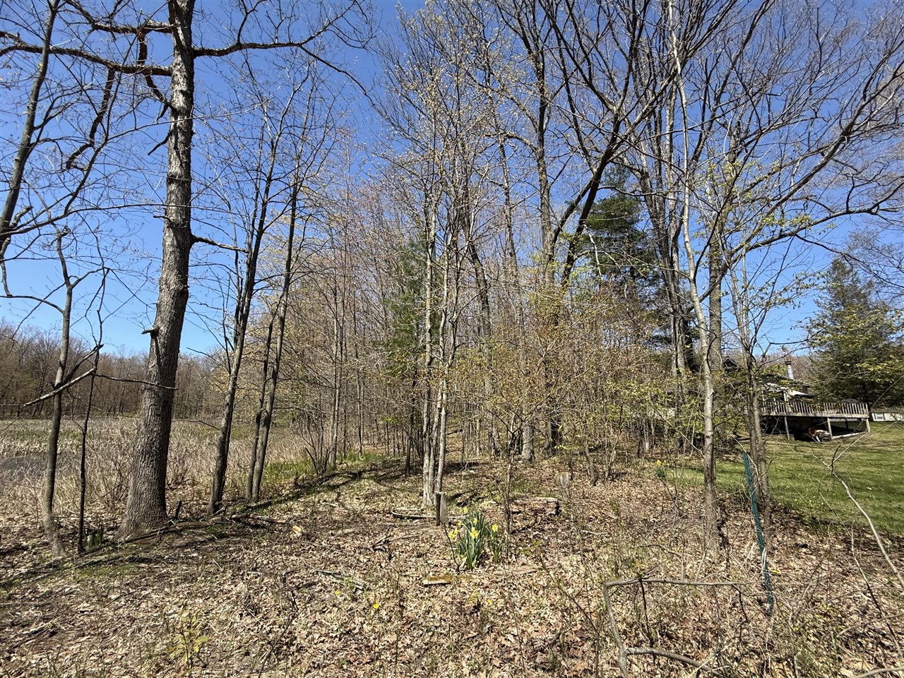 Homes for sale in Walkerville, MI | E Dennis Dr, Walkerville, MI 49459 | MLS# 70467463