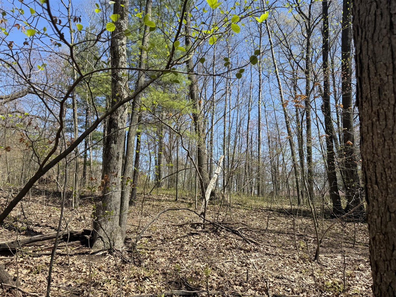 Homes for sale in Walkerville, MI | E Dennis Dr, Walkerville, MI 49459 | MLS# 70467463