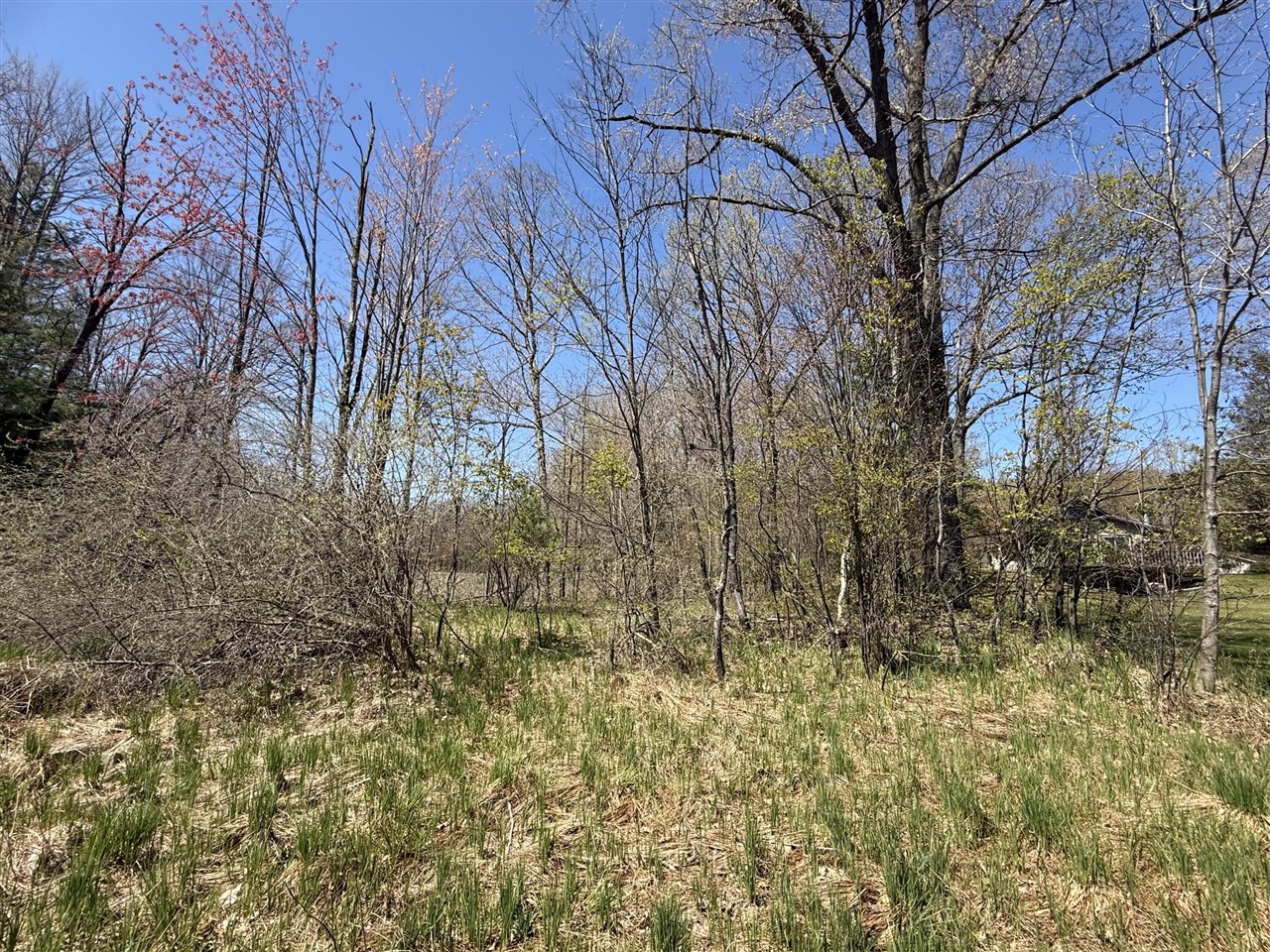 Homes for sale in Walkerville, MI | E Dennis Dr, Walkerville, MI 49459 | MLS# 70467463