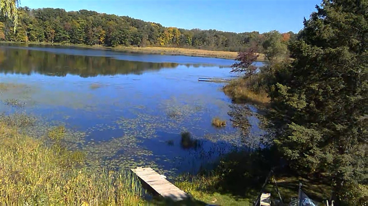 Homes for sale in Big Rapids, MI | 7293 E Hungerford Lake Dr, Big Rapids, MI 49307 | MLS# 70467715