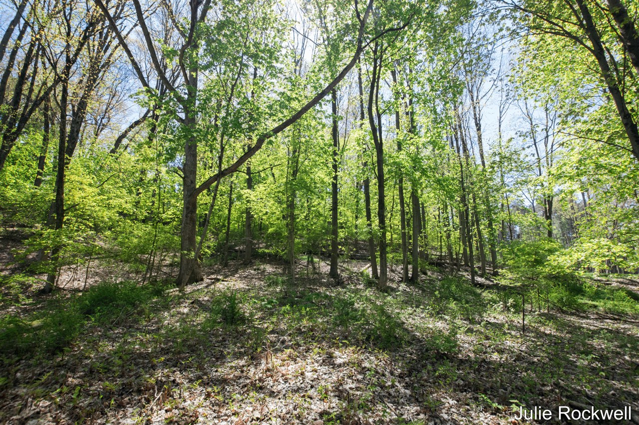 Homes for sale in Ada, MI | 6050 Grand River Dr, Ada, MI 49301 | MLS# 70467897