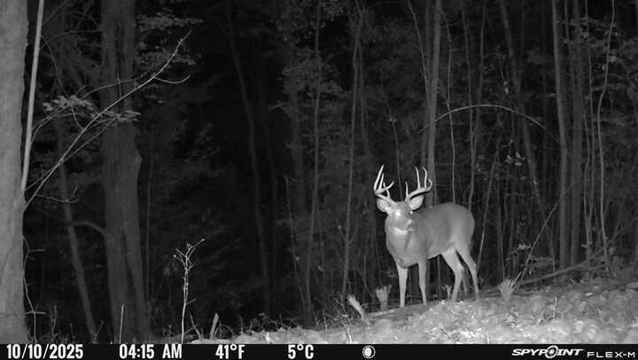 Homes for sale in Le Roy, MI | 40 Acres +/  150th Ave, Le Roy, MI 49655 | MLS# 70468342