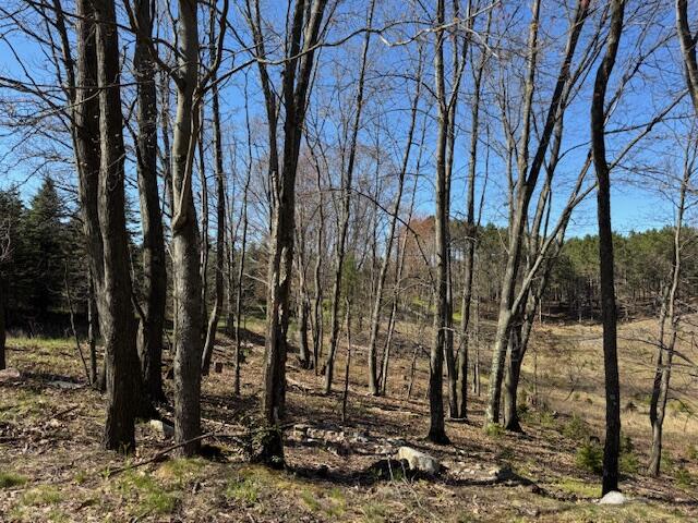 Homes for sale in Le Roy, MI | 40 Acres +/  150th Ave, Le Roy, MI 49655 | MLS# 70468342