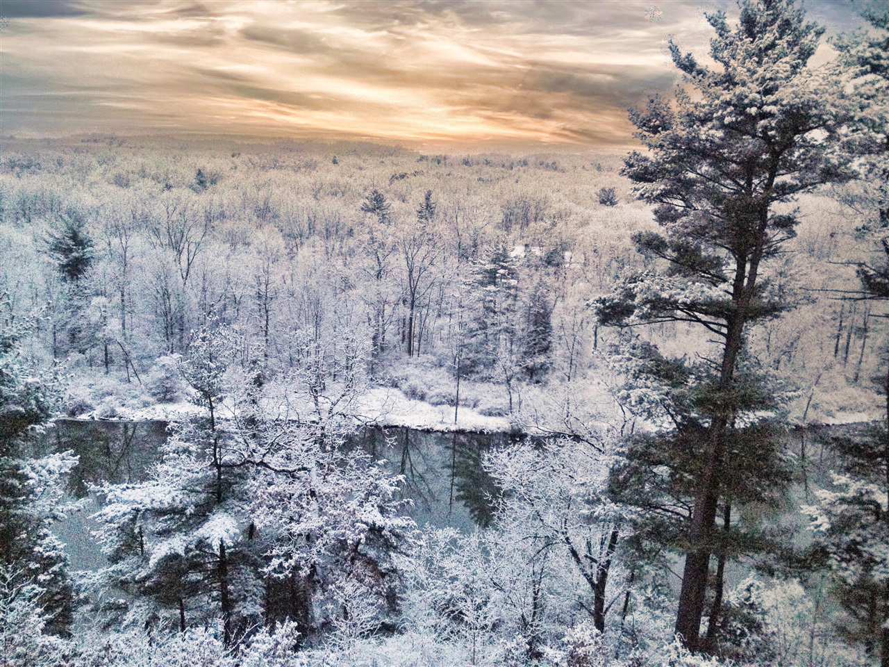 Homes for sale in Ada, MI | 2100 Timber Point Dr, Ada, MI 49301 | MLS# 70468636