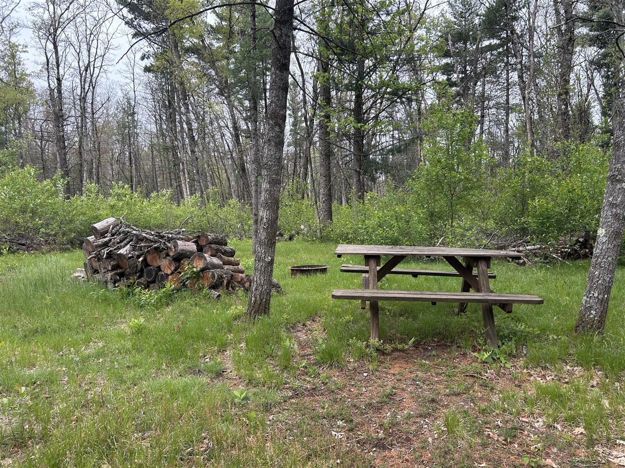 Homes for sale in Baldwin, MI | 6986 W Baldwin Rd, Baldwin, MI 49304 | MLS# 70470342