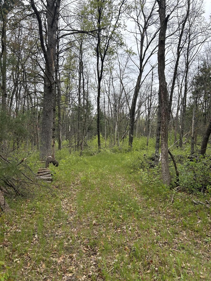 Homes for sale in Baldwin, MI | 6986 W Baldwin Rd, Baldwin, MI 49304 | MLS# 70470342