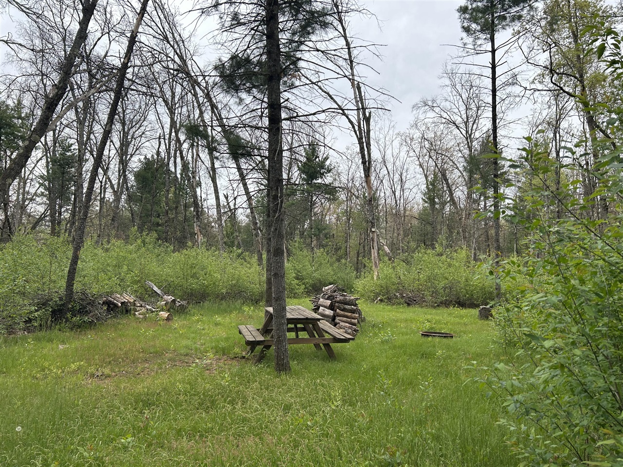 Homes for sale in Baldwin, MI | 6986 W Baldwin Rd, Baldwin, MI 49304 | MLS# 70470342