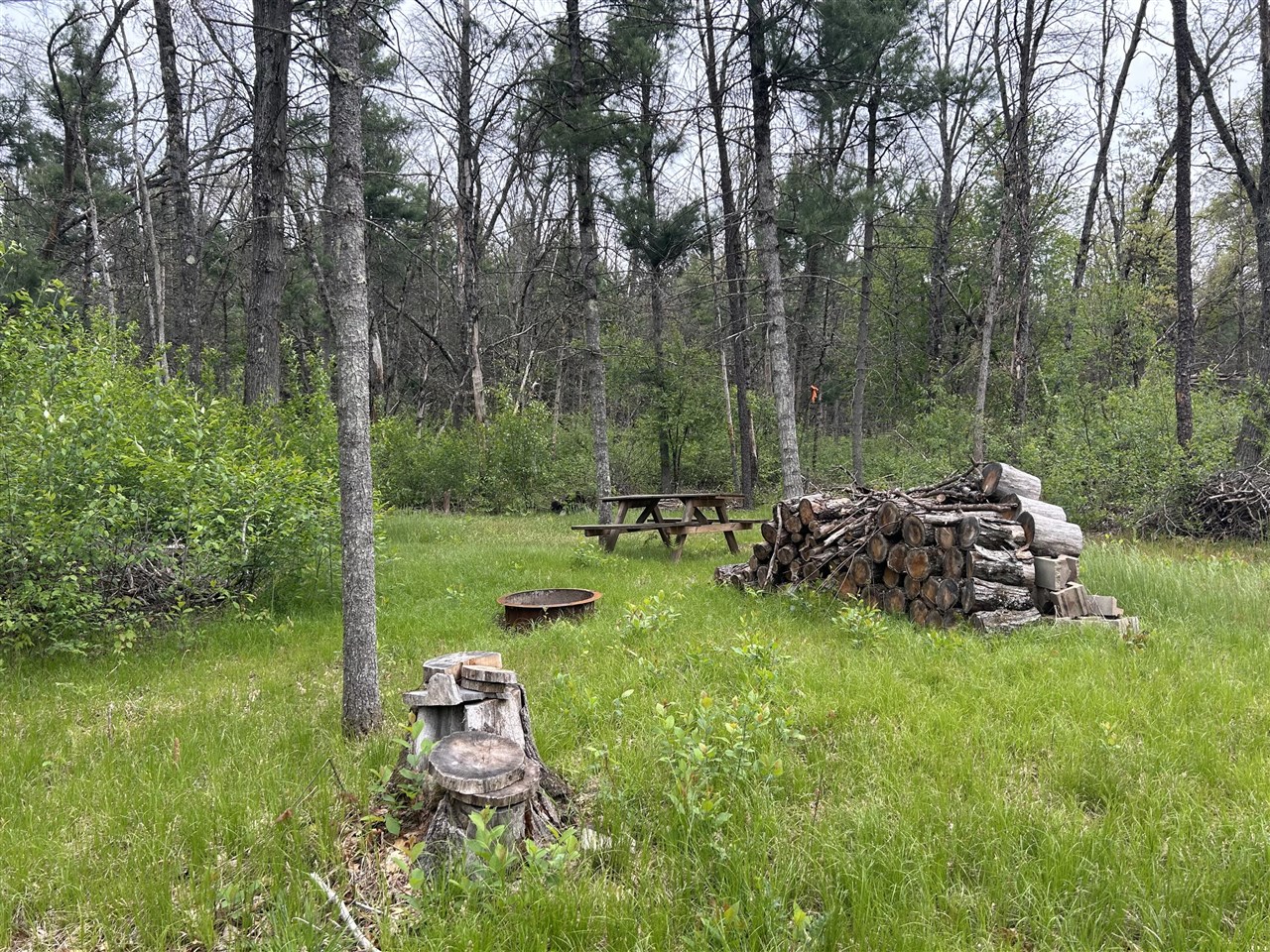 Homes for sale in Baldwin, MI | 6986 W Baldwin Rd, Baldwin, MI 49304 | MLS# 70470342