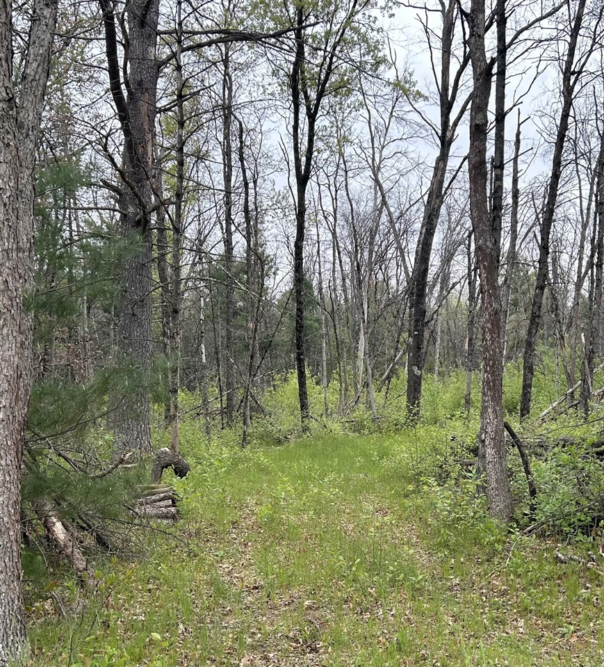 Homes for sale in Baldwin, MI | 6986 W Baldwin Rd, Baldwin, MI 49304 | MLS# 70470342