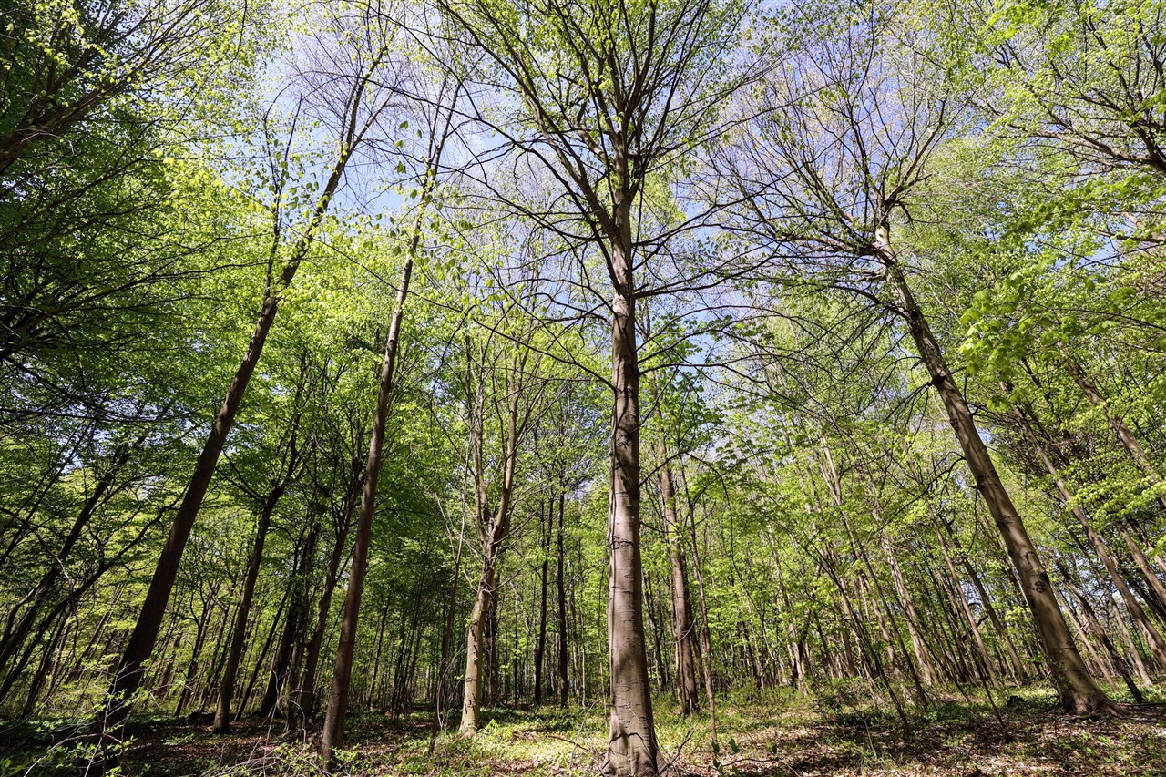 Homes for sale in Grand Junction, MI | Vl Benny Ct (all Parcels), Grand Junction, MI 49056 | MLS# 70470542