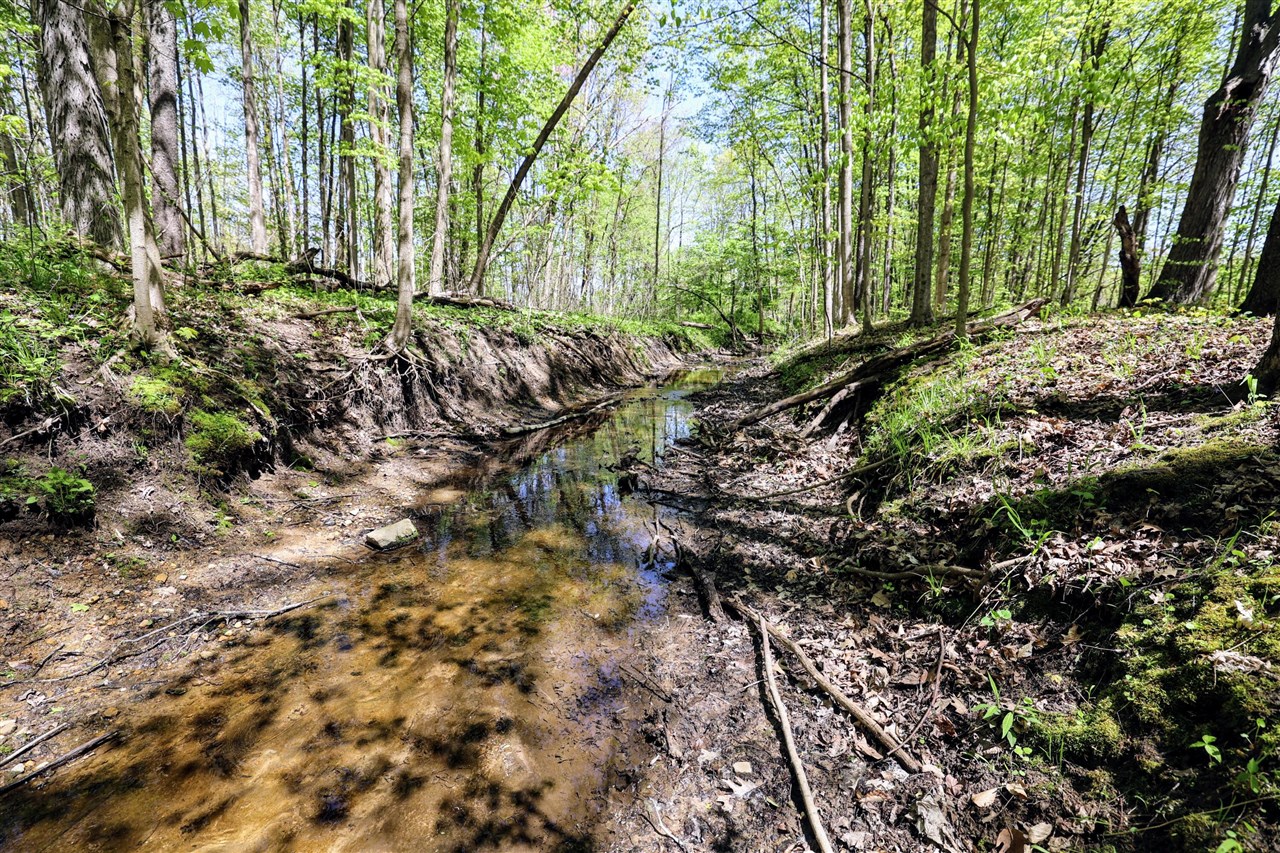 Homes for sale in Grand Junction, MI | Vl Benny Ct (all Parcels), Grand Junction, MI 49056 | MLS# 70470542