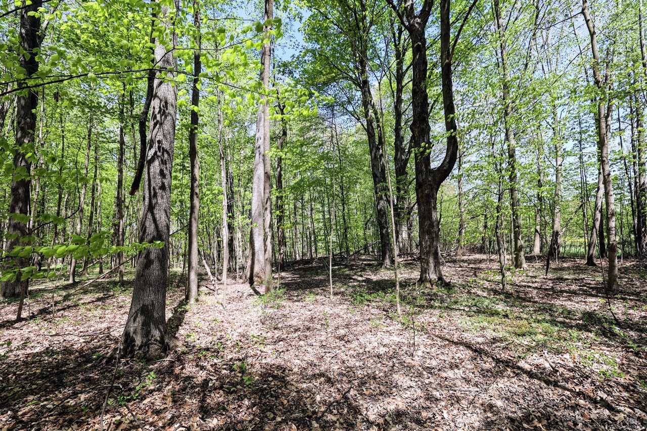 Homes for sale in Grand Junction, MI | Vl Benny Ct (All Parcels), Grand Junction, MI 49056 | MLS# 70470542