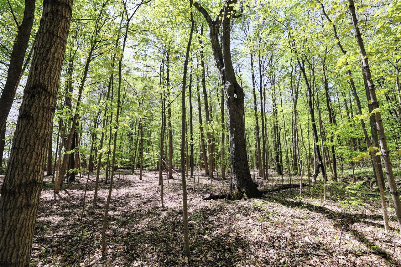 Homes for sale in Grand Junction, MI | Vl Benny Ct (All Parcels), Grand Junction, MI 49056 | MLS# 70470542