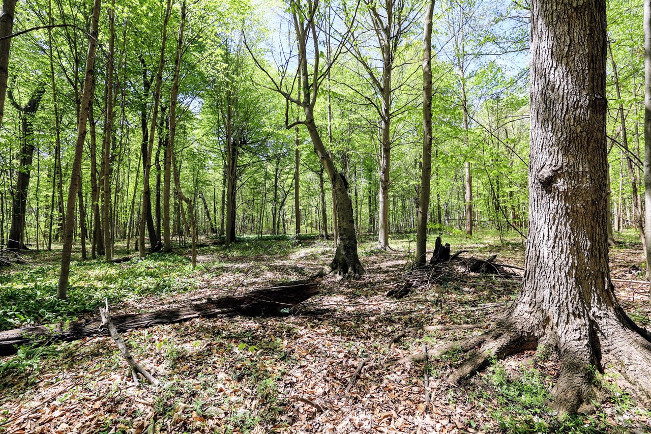 Homes for sale in Grand Junction, MI | Vl Benny Ct (All Parcels), Grand Junction, MI 49056 | MLS# 70470542